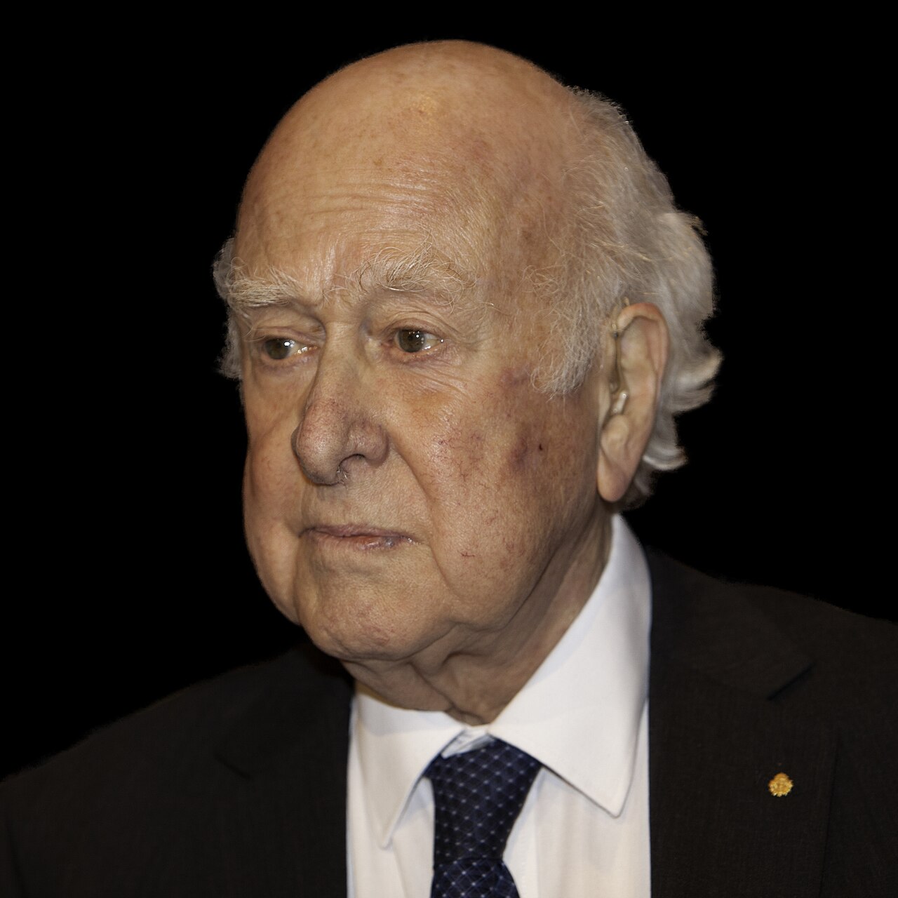 Portrait of physicist Peter Higgs.